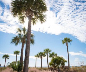 Sirata Resort on St Pete Beach