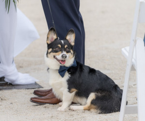 Florida beach wedding details at Sirata Resort
